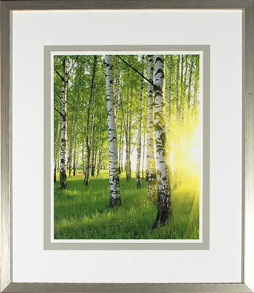 Birch Tree Study I - Celadon Art