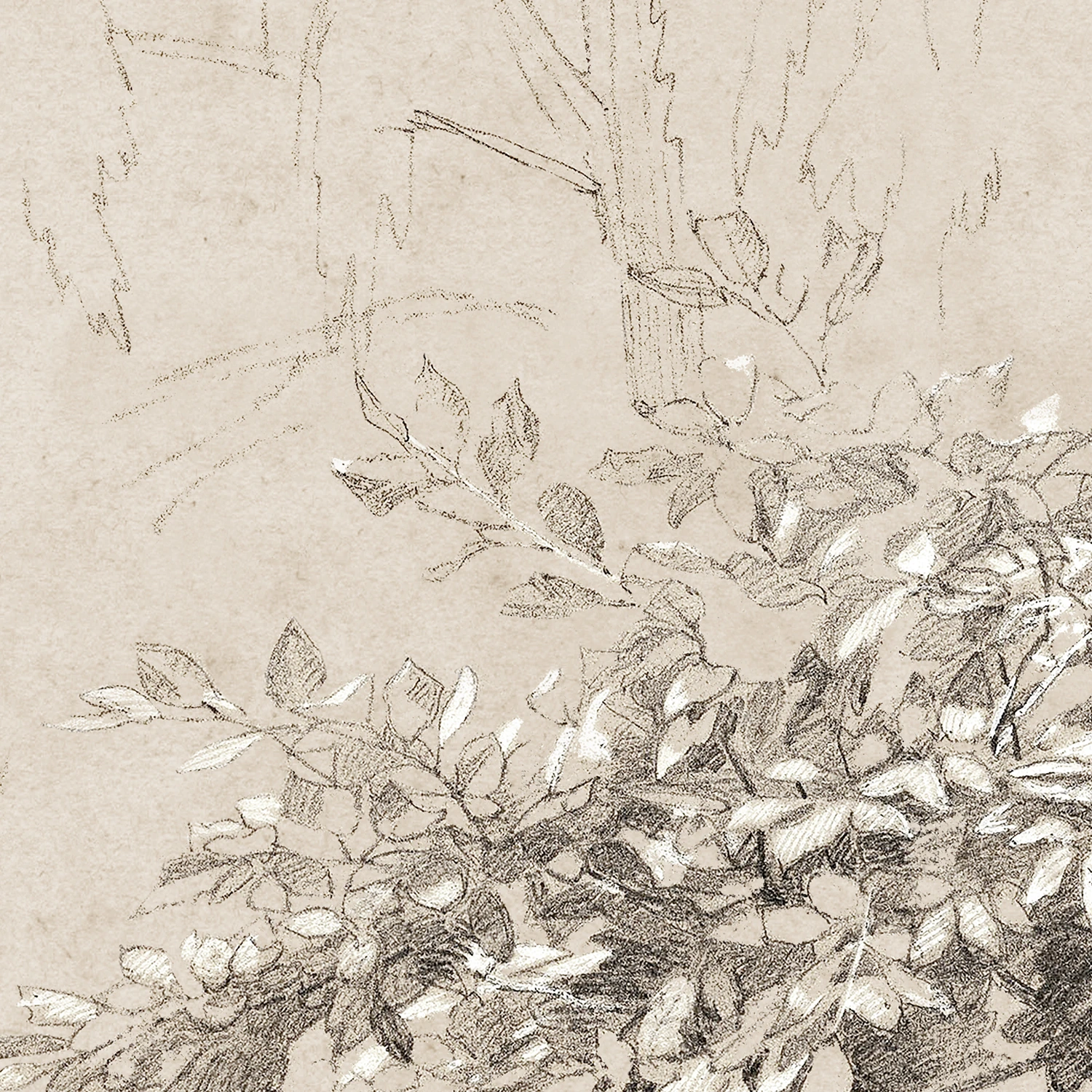 Graphite & Gouache Study C. 1890 - Celadon Art