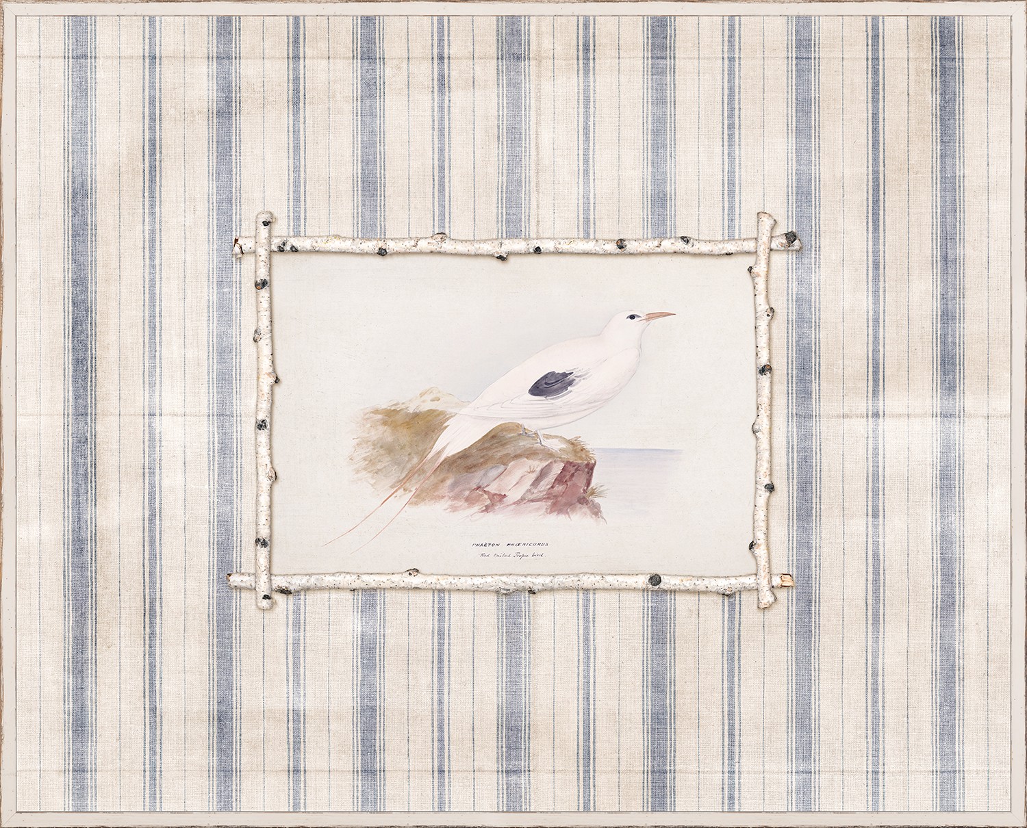 Cottage Gulls II - Image 1