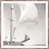 Harbor Sail VIII - Thumbnail Image 1