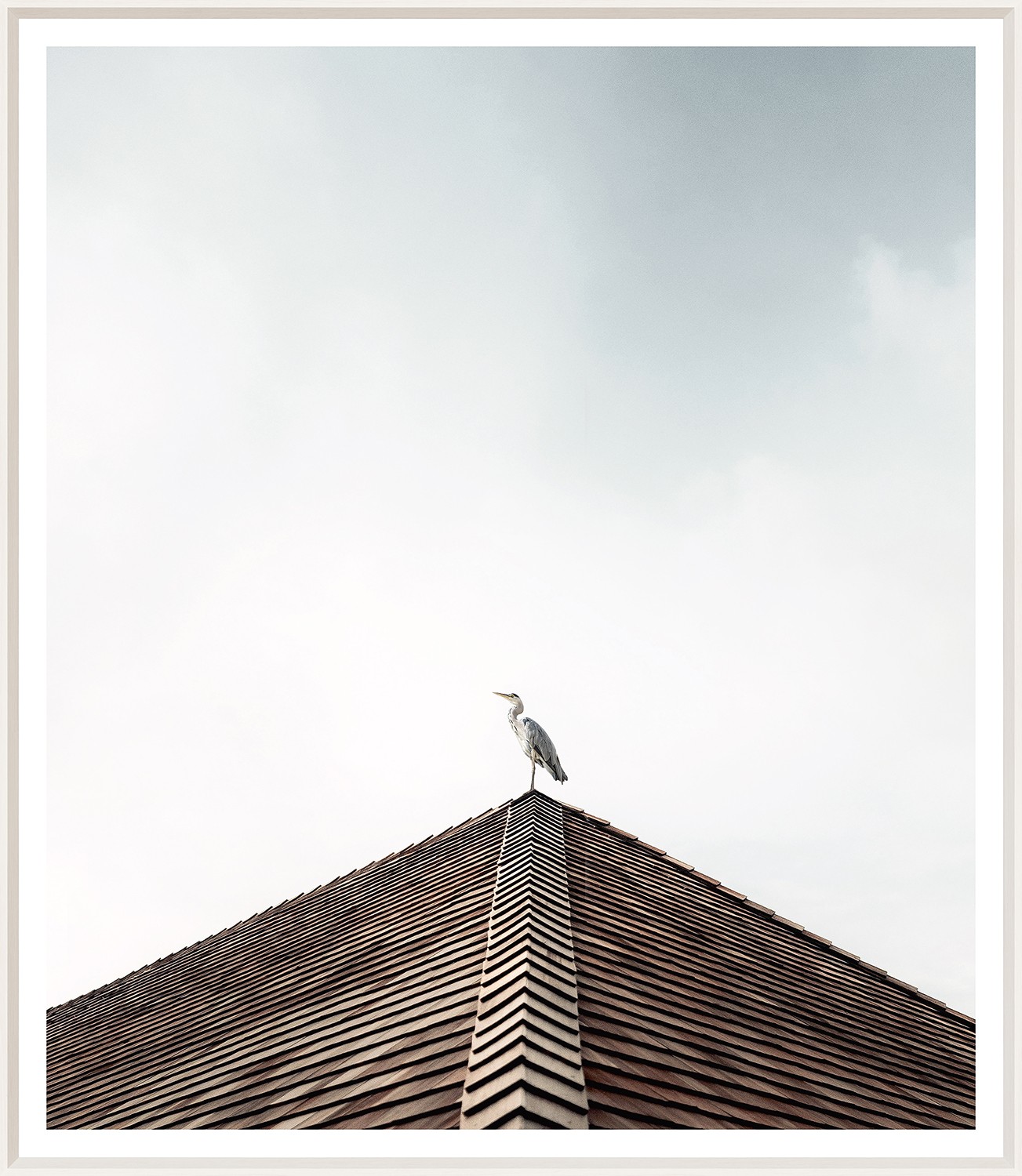 Heron's View - Image 1