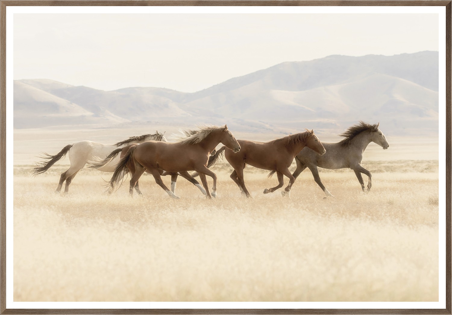 Wild Horses - Image 1