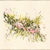 Garden Symphony II - Thumbnail Image 2