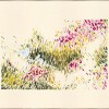 Garden Symphony V - Thumbnail Image 1
