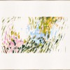 Garden Symphony VI - Thumbnail Image 1