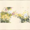 Garden Symphony VIII - Thumbnail Image 1